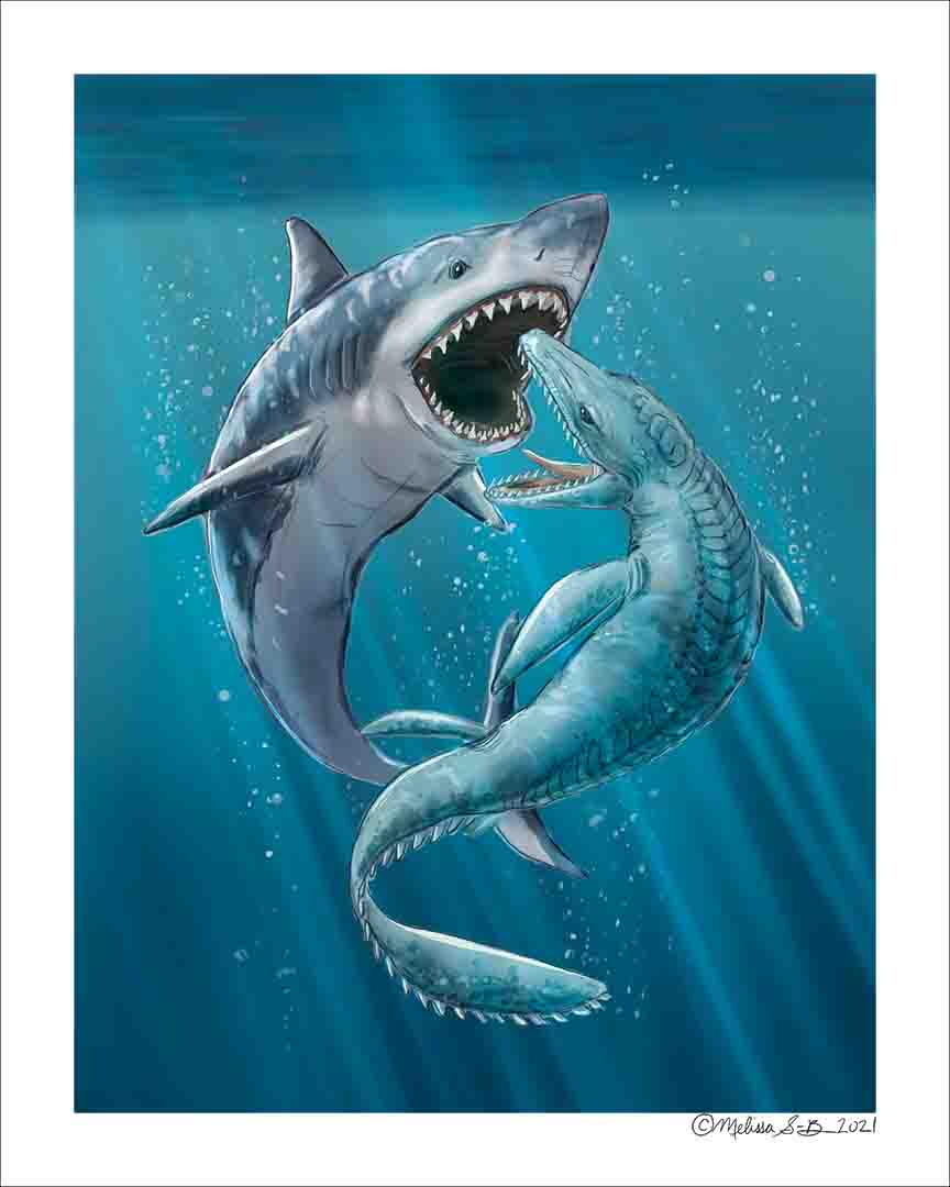 Megalodon vs Mosasaurus Fine Art Print – True North Creations