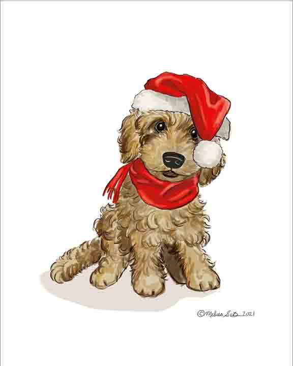 Goldendoodle hat cheap