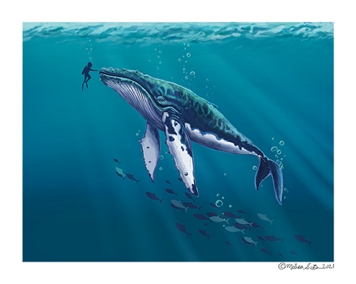 A fine art print featuring a diver reaching out to touch an enormous humpback whale in the deep blue sea